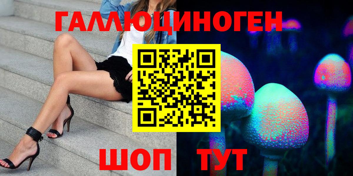 Псилоцибиновые грибы Psilocybe Нарьян-Мар